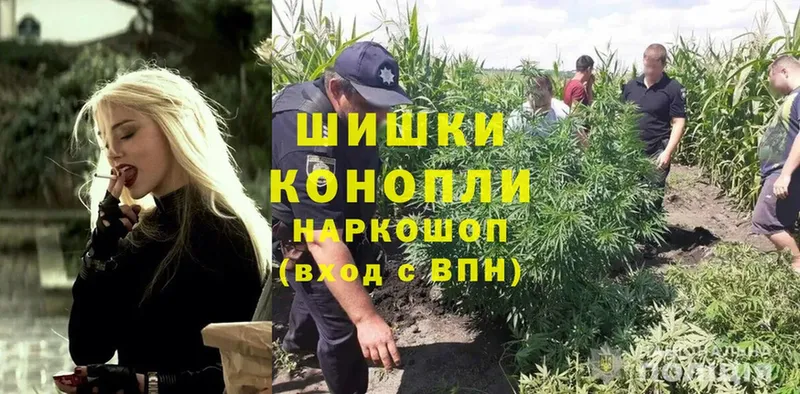 где продают наркотики  Межгорье  ссылка на мегу сайт  Бошки Шишки THC 21% 